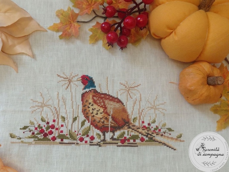 Pheasant - Fagiano CV263
